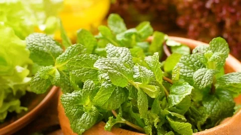 Greens for fresh healthy salad Stock Footage 72978053