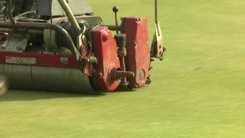 A greens keeper mows a golf green 動画素材 80468840