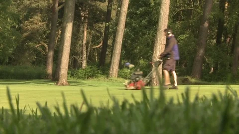A greens keeper mows a golf green Stock Footage 80468906
