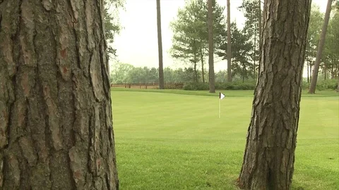 A greens keeper walks from behind a tree to mow a golf green Stock Footage 80468978