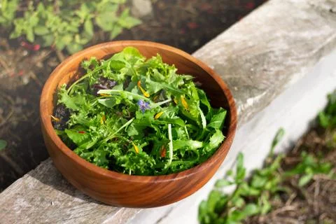 Greens Stock Photos