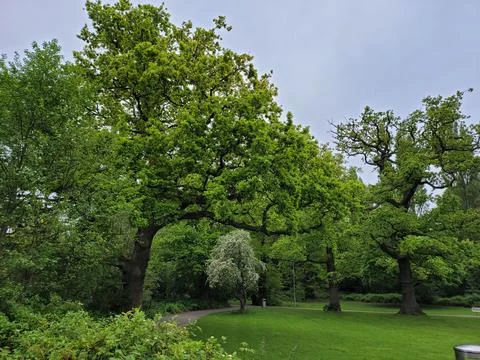 Greens Stock Photos
