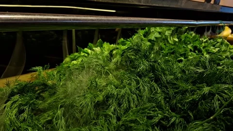Greens in a supermarket Stock Footage 341676584