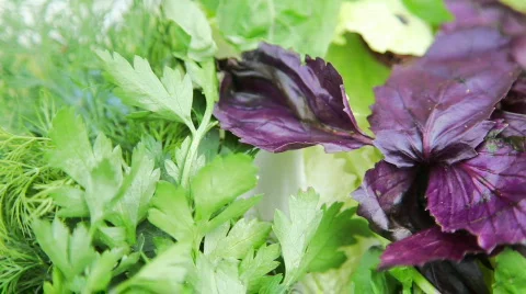 Greens on turning table Stock Footage 729959