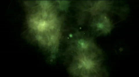 Greenspace Video stock 824088