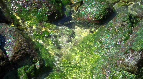 GreenSurf Stockbeeldmateriaal 640506