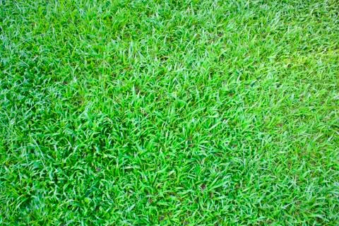 Greensward Stock Photos
