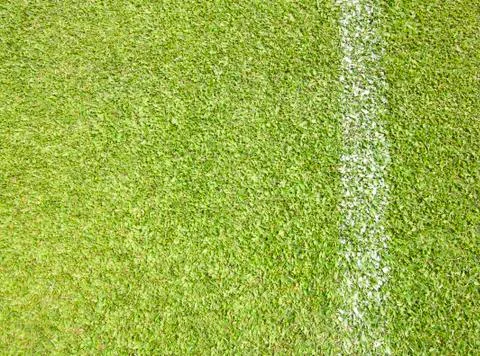 Greensward Stock Photos