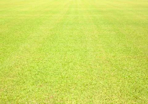 Greensward Stock Photos