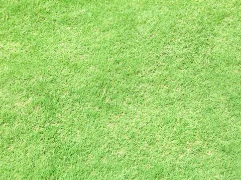Greensward Stock Photos