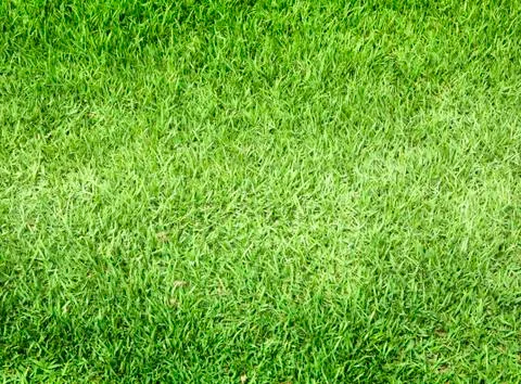 Greensward Stock Photos