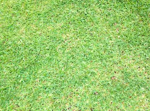 Greensward Stock Photos