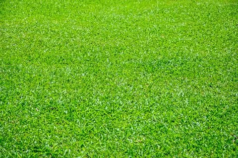 Greensward Stock Photos