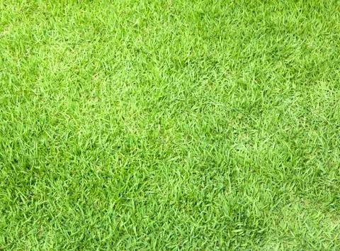 Greensward Stock Photos