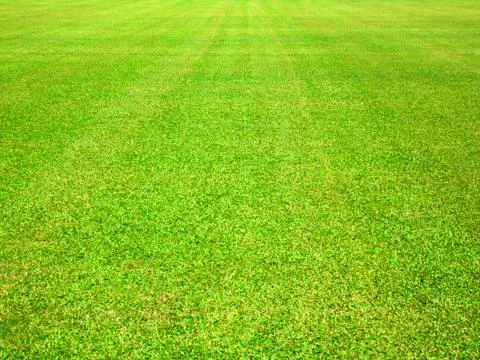 Greensward Stock Photos