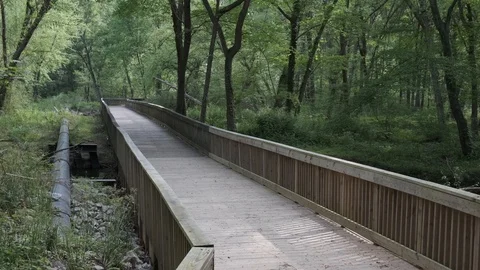 Greenway Bridge Stock Footage 106950632