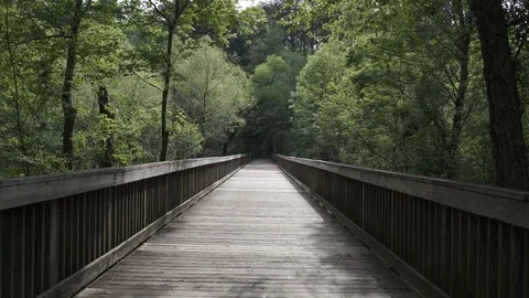 Greenway Path Bridge Video stock 106950599