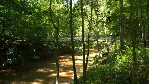 Greenway Walking Stock Footage 108131072