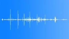 GreenWinged Macaw DistantMCU Calls Sound Effect