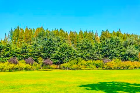 Greenwood 库存照片