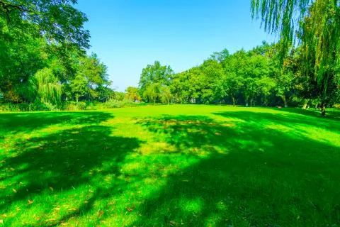 Greenwood Stock Photos
