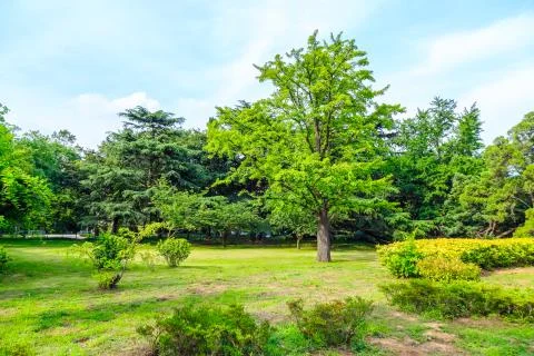 Greenwood 库存照片