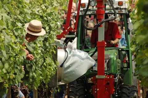 Greenwork Stock Photos