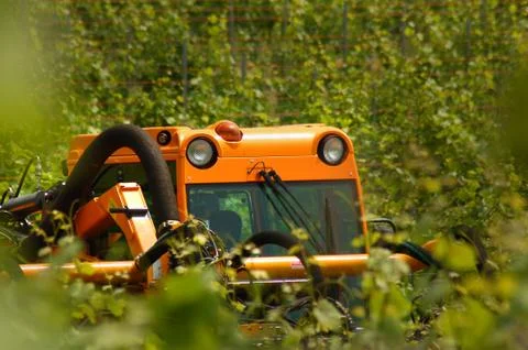 Greenwork Stock Photos