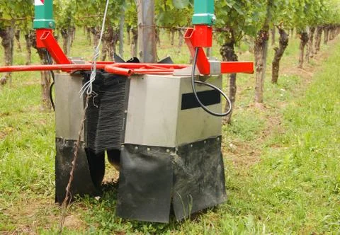 Greenwork Stock Photos