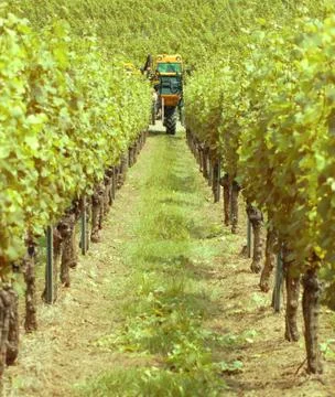 Greenwork Stock Photos