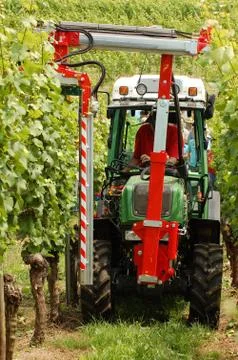 Greenwork Stock Photos