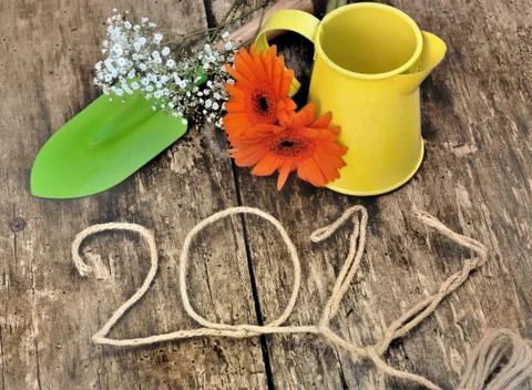 Greeting card 2017 Stock Photos