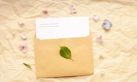 Greeting card and envelope with hydrangea flowers on paper background Stock Photos