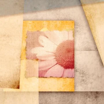 Greeting card with daisy Stock Illustration