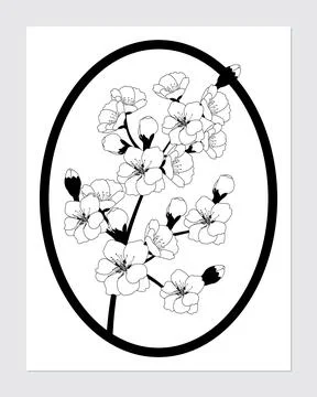 Greeting card design template with a cherry blossom branch. Vector illustrati Stock Illustration