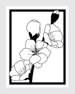 Greeting card design template with a cherry blossom branch. Vector illustrati Stock Illustration