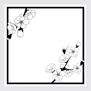 Greeting card design template with a cherry blossom branch. Vector illustrati Stock Illustration