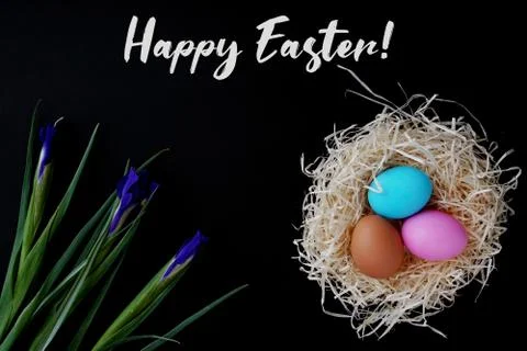Greeting card happy easter. Colored eggs and nest, iris flowers. Good concept 스톡 사진