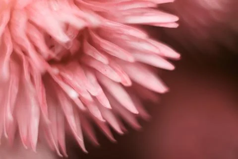 Greeting card pattern for designer.. Stock Photos