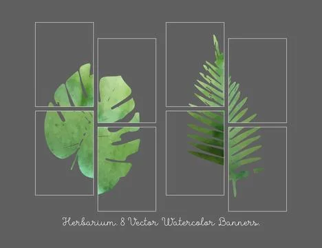 Greeting card template. Stock Illustration