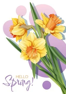 Greeting card template with spring flowers. Banner, poster with daffodils. Ea Stock Illustration