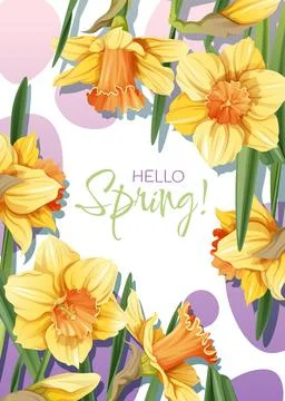 Greeting card template with spring flowers. Banner, poster with daffodils. Ea Stock Illustration