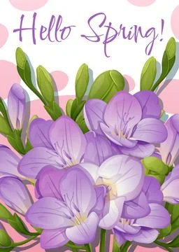 Greeting card template with spring flowers. Banner, poster with purple freesi Stock Illustration