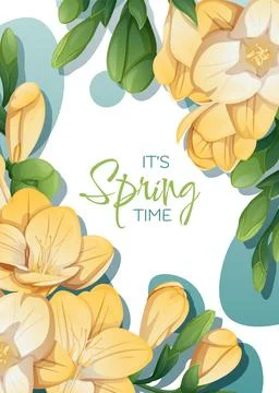 Greeting card template with spring flowers. Banner, poster with daffodils. .. Stock Illustration