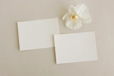 Greeting Cards mockup, empty white blanks, envelopes and orchid flower top view  Stock Photos