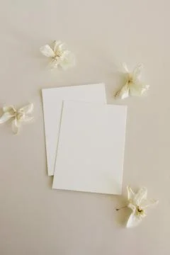 Greeting Cards mockup, empty white blanks, envelopes and orchid flower top view  Stock Photos
