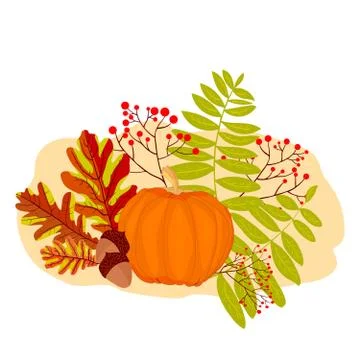 Greeting fall with colorful oak leaf, rowan berries, acorns, pumpkin. Stock Illustration