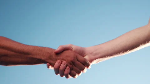 Greeting, handshake and people in studio with agreement, partnership or contract Stock Footage 338054061