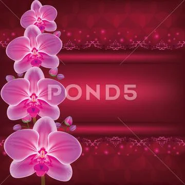 Greeting or invitation card with flower orchid vector Stock Illustration
