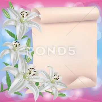 Greeting or invitation card with lily flower and paper Stock Illustration
